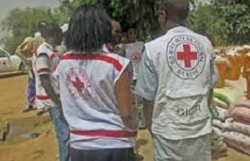 Libération des deux travailleurs humanitaires de la Croix-Rouge enlevés au Mali