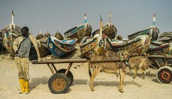 En Mauritanie, la bombe à retardement de la ségrégation raciale