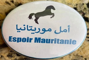 Elections : la Coalition Espoir Mauritanie condamne les agissements du ministère de l'Intérieur - Déclaration