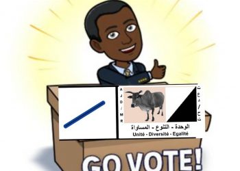 Europe: Avec Bocar notre victoire est déjà acquise!