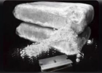 Une Trafiquant de drogue arrêté à Tekane