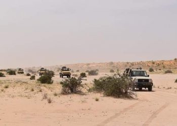L’armée est au Tékrour: Recule et gagne! Par Ciré KANE