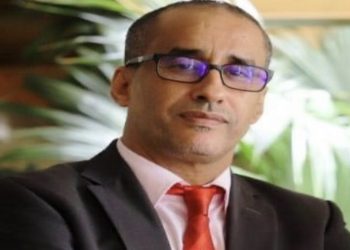 Quand Nathalie Yamb s&rsquo;enlise dans les sables mouvants de la Mauritanie/Mohamed El Mounir-Universitaire, ancien fonctionnaire des Nations Unies