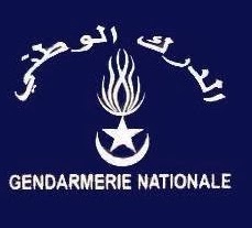 Mauritanie: Retraite subite de Cheikh Diallo, commandant adjoint de la gendarmerie