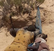 Silence on tue des noirs au Maghreb. Par Ciré KANE