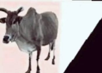 Mauritanie: AJDMR communiqué