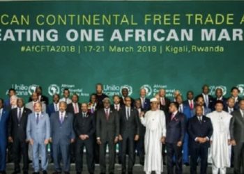 L’Union africaine devient officiellement un nouveau membre du G20