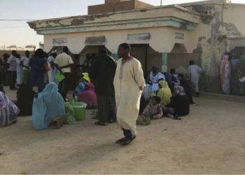 Inquiétudes légitimes des recalés de l’enrôlement : Le calvaire