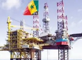 Sénégal : 1,4 milliard de barils de pétrole et 420 millions m3 de gaz*