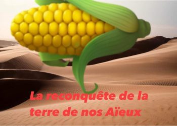 Le Demi-manifesté de MAÏS a 3 ans!