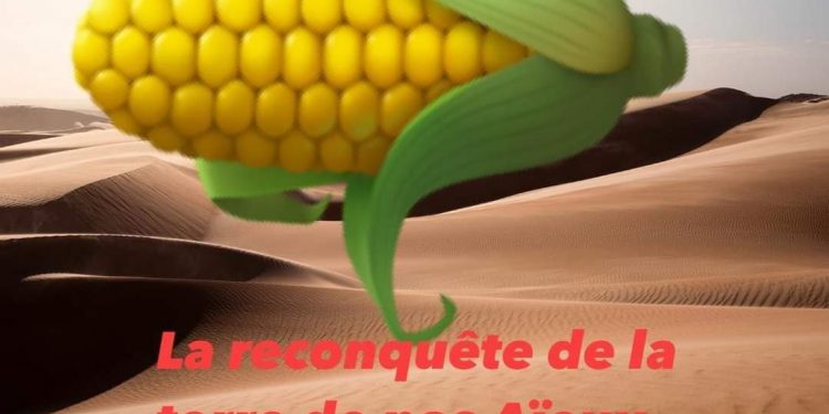 Le Demi-manifesté de MAÏS a 3 ans!