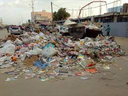 Nouakchott: 70% des vaches et chèvres meurent à cause de l'ingestion de plastique
