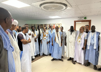 « ONG Transparence inclusive » : de sociétés fictives ont partagé les marchés de l’ANGMV