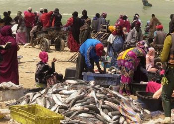 Exploitation du gaz en Mauritanie : le tiraillement des communautés de pêcheurs