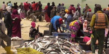 Exploitation du gaz en Mauritanie : le tiraillement des communautés de pêcheurs