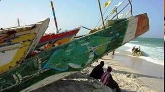 La sardinelle interdite de pêche par le gouvernement mauritanien