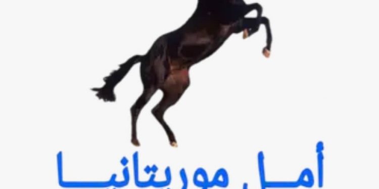 Déclaration à propos de la situation à R’KIZ