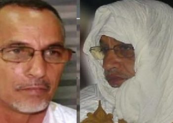 Mauritanie : Deux leaders de l’APP annoncent leur retrait du parti