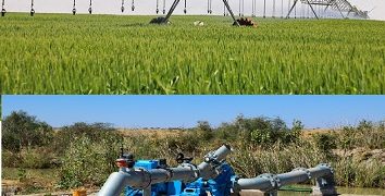 Transformer l’agriculture : une histoire de réussite de Valley, Nebraska, à Rosso, Mauritanie…Témoignage.