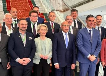 La Mauritanie deviendra le premier partenaire de l’Union européenne pour l’hydrogène