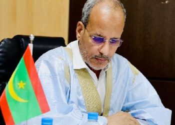 Activisme préélectoral à forte prévalence gouvernementale : les coordinateurs régionaux du parti Insaf au pouvoir se mobilisent