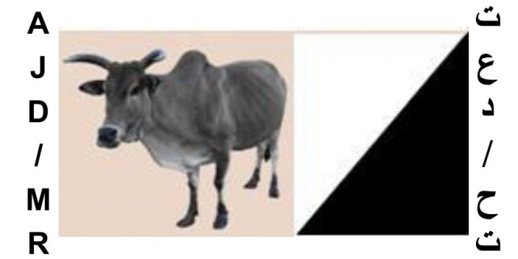 L’Ajd/Mr dénonce la représentation de la CENI Amérique