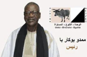 Présidentielle 2024: Bocar Ba "La Mauritanie fait face aux défis de la discrimination... et de la corruption"