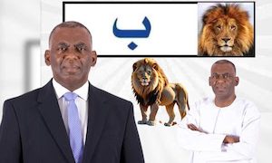 La liste du directoire en Europe de la coalition du candidat Antisystème Biram Dah Abeid 2024