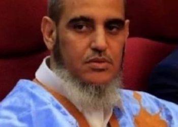 Présidentielle 2024 : La stratégie de l’opposition pour assurer le maximum possible de transparence?