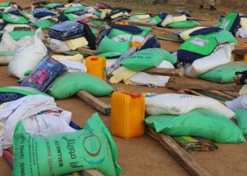 Crue du fleuve au Guidimagha : les moughataaas de Wompou et Ghabou particulièrement touchées