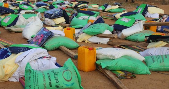 Crue du fleuve au Guidimagha : les moughataaas de Wompou et Ghabou particulièrement touchées