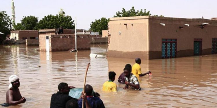 L&rsquo;OMVS prévoit une diminution du débit du fleuve 