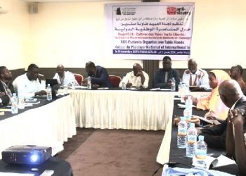 Mauritanie : SOS-Esclaves organise une table ronde sur le plaidoyer international pour la cohésion sociale