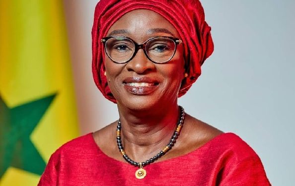 Visite stratégique de Yassine Fall en Mauritanie : enjeux et objectifs