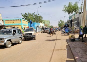 Des voitures sans plaques d’immatriculation circulent toujours au Guidimakha