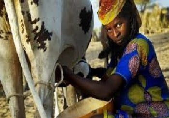 Trarza : cas d’intoxication massive dont une vingtaine qualifiés d’aigus enregistrés dans la commune de R&rsquo;Kiz