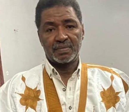 𝐃𝐢𝐚𝐥𝐨𝐠𝐮𝐞 𝐩𝐨𝐥𝐢𝐭𝐢𝐪𝐮𝐞 𝐨𝐮 𝐝𝐢𝐯𝐞𝐫𝐬𝐢𝐨𝐧 𝐬𝐭𝐫𝐚𝐭𝐞́𝐠𝐢𝐪𝐮𝐞 ? 𝐔𝐧𝐞 𝐢𝐥𝐥𝐮𝐬𝐢𝐨𝐧 𝐝𝐞́𝐦𝐨𝐜𝐫𝐚𝐭𝐢𝐪𝐮𝐞 𝐞𝐧 𝐌𝐚𝐮𝐫𝐢𝐭𝐚𝐧𝐢𝐞