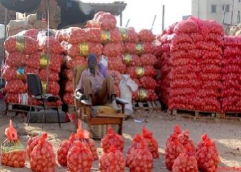 Le Sénégal suspend les importations d’oignons et de pommes de terre pour soutenir la production locale