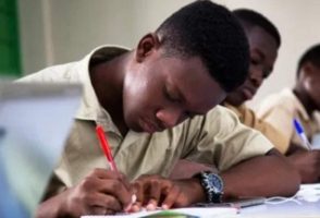 Éducation au Sénégal : baisse des effectifs dans les filières scientifiques