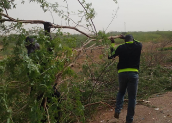SOS Kaédi : Sauvons notre cité !