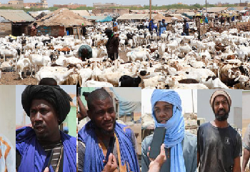 Aïd El-Adha : pleine effervescence au marché du bétail et plaintes contre la flambée des prix du mouton
