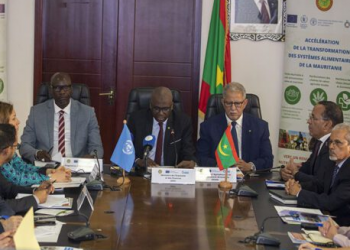 Nouakchott : organisation d’une journée de concertation sur le renforcement des systèmes alimentaires