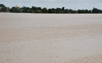 Débordement du fleuve Sénégal : Matam très proche de la cote d’alerte