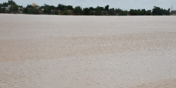 Débordement du fleuve Sénégal : Matam très proche de la cote d’alerte