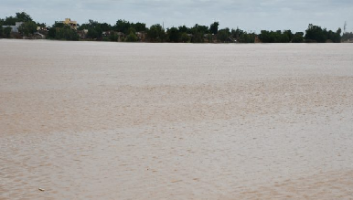 Débordement du fleuve Sénégal : Matam très proche de la cote d’alerte