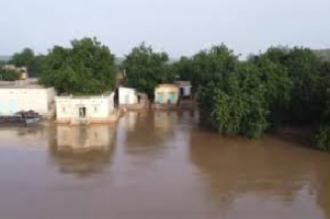 Kaédi et Maghama exposés à une montée des eaux du fleuve.