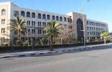 La Mauritanie condamne le plan d'occupation de Gaza