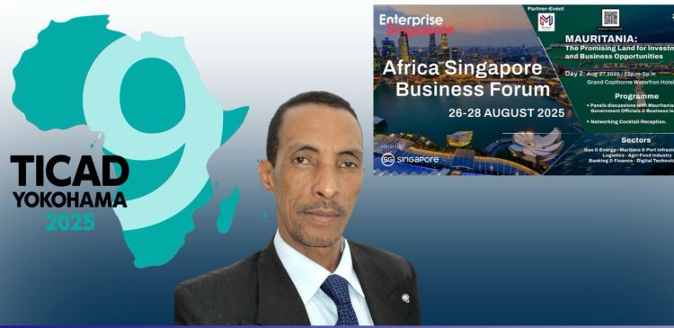 Exclusif : Entretien avec l’expert international mauritanien Hassana Mbeirick, DG de Meen & Meen