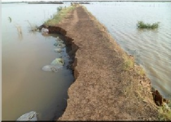 Bababé – crue du fleuve :  près d&rsquo;une trentaine de familles relogées dans une zone d’hébergement habitable