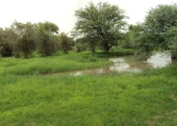 Brakna : Tensions communautaires sur fond de litige foncier ! Comment réconcilier les parties ?